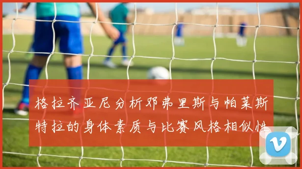 格拉齐亚尼分析邓弗里斯与帕莱斯特拉的身体素质与比赛风格相似性