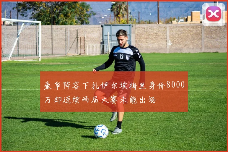 豪华阵容下扎伊尔埃梅里身价8000万却连续两届大赛未能出场